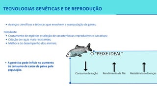 Avanços científicos e técnicas que envolvem a manipulação de genes;
Cruzamento de espécies e seleção de características reprodutivos e lucrativas;
Criação de raças mais resistentes;
Melhora do desempenho dos animais.
Possibilita:
TECNOLOGIAS GENÉTICAS E DE REPRODUÇÃO
O "PEIXE IDEAL"
O "PEIXE IDEAL"
Consumo de ração Rendimento de filé Resistência à doenças
A genética pode influir no aumento
do consumo de carne de peixe pela
população.
 