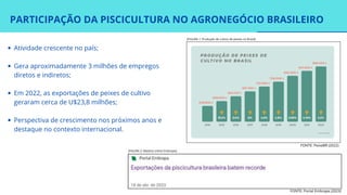 PARTICIPAÇÃO DA PISCICULTURA NO AGRONEGÓCIO BRASILEIRO
Atividade crescente no país;
Gera aproximadamente 3 milhões de empregos
diretos e indiretos;
Em 2022, as exportações de peixes de cultivo
geraram cerca de U$23,8 milhões;
Perspectiva de crescimento nos próximos anos e
destaque no contexto internacional.
FONTE: PeixeBR (2022)
FONTE: Portal Embrapa (2023)
[FIGURA 1: Produção de cultivo de peixes no Brasil]
[FIGURA 2: Matéria online Embrapa]
 