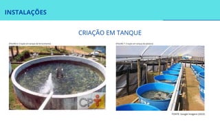 INSTALAÇÕES
CRIAÇÃO EM TANQUE
FONTE: Google Imagens (2023)
[FIGURA 6: Criação em tanque de ferrocimento] [FIGURA 7: Criação em tanque de plástico]
 