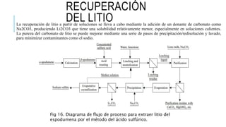 Panorama para la producción de litio en el Perú.pptx