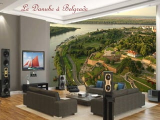 Le Danube à Belgrade
 