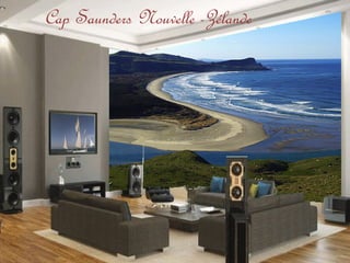 Cap Saunders Nouvelle -Zélande
 