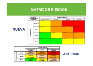 Panoramas de factores de riesgo | PDF