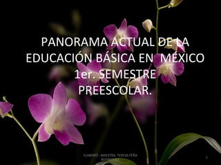 PANORAMA ACTUAL DE LA
EDUCACIÓN BÁSICA EN MÉXICO
1er. SEMESTRE
PREESCOLAR.
ELABORÓ : MAESTRA. TERESA PÈÑA
RODRIGUEZ.
1
 