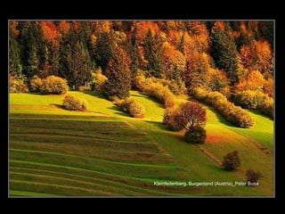 Kleinfedenberg, Burgenland (Austria)_Péter Busa 