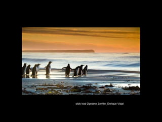 otok kod Ognjene Zemlje_Enrique Vidal 