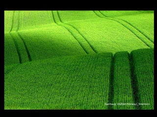 Sjønhaug, Østfold (Norway)_Snemann 