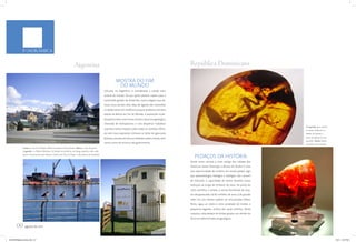 PANORÂMICA


                                                                        Argentina                                                                                   República Dominicana

                                                                                                                  MOSTRA DO FIM
                                                                                                                   DO MUNDO
                                                                                                        Ushuaia, na Argentina, é considerada a cidade mais
                                                                                                        austral do mundo. De seu porto partem navios para o
                                                                                                        continente gelado da Antártida, numa viagem que de-
                                                                                                        mora cerca de dois dias. Mas de agosto até novembro,
                                                                                                        a cidade estará em evidência porque receberá a terceira
                                                                                                        edição da Bienal do Fim do Mundo. A exposição multi-
                                                                                                        disciplinar tem como tema central a atual era geológica,
                                                                                                        chamada de Antropoceno, e visa despertar trabalhos
                                                                                                                                                                                                                               À esquerda, peça exposta
                                                                                                        cujo foco tenha impacto sobre todos os sentidos. Afina-
                                                                                                                                                                                                                               no museu dedicado ao
                                                                                                        da com essa exposição, Ushuaia se veste de gala para                                                                   âmbar: de animais a
                                                                                                        festivais, sessões de leitura e debates sobre o tema, bem                                                              restos de plantas de eras
                                                                                                                                                                                                                               passadas. Abaixo, âmbar
                                                                                                        como cursos de música e de gastronomia.
                                                                                                                                                                                                                               vermelho, uma raridade
              Acima, as ruas de Ushuaia, cidade do extremo sul do planeta. Abaixo, a vista do porto
              (esquerda) e o Museo Maritimo, localizado no prédio de um antigo presídio, onde estão
              barcos e documentos que relatam a história da Terra do Fogo e a descoberta da Antártida
                                                                                                                                                                       PEDAÇOS DA HISTÓRIA
                                                                                                                                                                    Tendo como cenário a mais antiga das cidades das
                                                                                                                                                                    Américas, Santo Domingo, o Museu do Âmbar é uma
                                                                                                                                                                    rara oportunidade de conferir, em escala global, algo
                                                                                                                                                                    que paleontólogos, biólogos e zoólogos não cansam
                                                                                                                                                                    de exercitar: a capacidade de tentar desvelar nossa
                                                                                                                                                                    evolução ao longo de milhares de anos. Do ponto de
                                                                                                                                                                    vista científico, o âmbar, a resina fossilizada de árvo-
                                                                                                                                                                    res desaparecidas há 60 milhões de anos, é de grande
                                                                                                                                                                    valor. Em seu interior podem ser encontradas folhas,
                                                                                                                                                                    flores, água, ar, raízes e uma variedade de insetos e
                                                                                                                                                                    pequenos lagartos, muitos dos quais extintos. Desta
                                                                                                                                                                    maneira, cada pedaço de âmbar gravou um retrato da
                                                                                                                                                                    Terra em determinada era geológica.


       00 agosto de 2011
VOETRIP38panoramica.indd 6-7                                                                                                                                                                                                                               7/5/11 6:07 PM
 