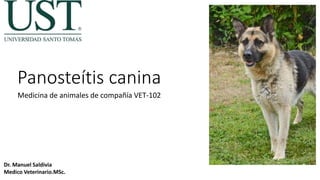 Panosteítis canina
Medicina de animales de compañía VET-102
Dr. Manuel Saldivia
Medico Veterinario.MSc.
 