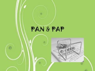 PAN & PAP
 