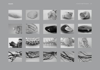 PansakChin B&W Photography 20Seashell
 