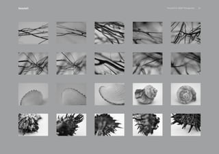 PansakChin B&W Photography 21Seashell
 