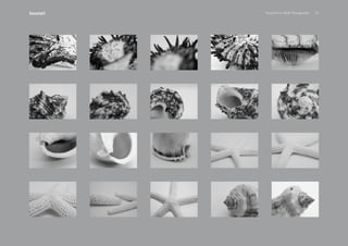 PansakChin B&W Photography 22Seashell
 