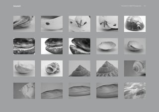 PansakChin B&W Photography 23Seashell
 