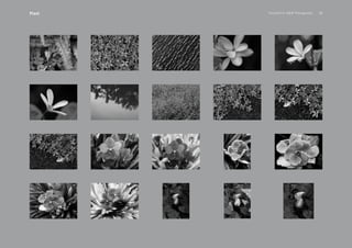 PansakChin B&W Photography 38Plant
 