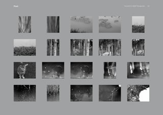 PansakChin B&W Photography 43Plant
 