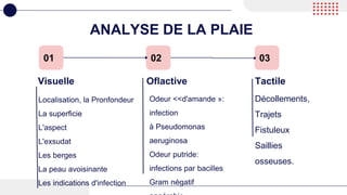 ANALYSE DE LA PLAIE
Visuelle
01
Localisation, la Pronfondeur
La superficie
L'aspect
L'exsudat
Les berges
La peau avoisinante
Les indications d'infection
Odeur <<d'amande »:
infection
à Pseudomonas
aeruginosa
Odeur putride:
infections par bacilles
Gram négatif
Décollements,
Trajets
Fistuleux
Saillies
osseuses.
Oflactive Tactile
02 03
 