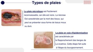 La plaie nécrotique est Facilement
reconnaissable, car elle est noire. La nécrose
Est caractérisée par la mort des tissus, qui
peut se présenter sous forme de tissus mous
ou durs
Types de plaies
La plaie en voie d'épidermisation
est caractérisée par
le Rapprochement des berges de
La cicatrice. Cette étape fait suite
à l'étape du bourgeonnement.
 