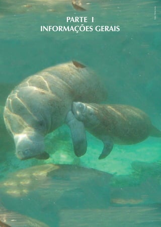 Foto: Fábia Luna
      PARTE I
INFORMAÇÕES GERAIS
 