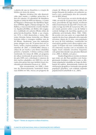 o plantio de soja na Amazônia e a criação de           criação de filhotes de peixes-bois órfãos em
                                            búfalos em áreas de várzea.                            tanque flutuante de madeira, em ambiente na-
                                                     Algumas iniciativas têm sido desenvol-        tural e com a participação ativa de comunitá-
                                            vidas para manter e reabilitar peixes-bois ór-         rios da RDS Amanã.
                                            fãos em cativeiro. O Laboratório de Mamíferos                    Em Curuá-Una, no início da década de
                                            Aquáticos (LMA) do INPA em Manaus, o Centro            1980, um total de 42 peixes-bois, sendo 20 fê-
                                            de Pesquisas e Preservação dos Mamíferos Aquá-         meas, procedentes do lago Amanã, receberam
                                            ticos (CPPMA), ligado a Manaus Energia S.A., em        rádios-transmissores do tipo VHF e foram colo-
                                            Balbina, e mais recentemente o Centro Mamífe-          cados no lago da UHE de Curuá-Una (PA), em
                                            ros Aquáticos/ICMBio, em Belém, têm resgata-           um estudo pioneiro sobre o uso de hábitat e
                                            do e reabilitado em cativeiro filhotes órfãos de       controle biológico de macrófitas aquáticas em
                                            peixe-boi-da-Amazônia. Desde a sua criação,            ambientes semi-fechados (Best, 1982; 1984).
                                            em 1974, o LMA desenvolveu e testou dife-              De acordo com esse autor, se a capacidade de
                                            rentes fórmulas lácteas fornecidas aos filhotes        suporte da área fosse adequada seria esperado
                                            lactentes órfãos e conseguiu reabilitar mais de        encontrar, depois de 25 anos, uma população
                                            60 filhotes. Atualmente, essas três instituições       de cerca de 650 indivíduos, constituindo um
                                            juntas abrigam cerca de 70 peixes-bois em ca-          reservatório genético único dessa espécie ame-
                                            tiveiro, sendo a maioria lactentes e juvenis. Em       açada. O Projeto não teve continuidade, mas
                                            setembro de 2007, o CMA/ICMBio efetuou a               em entrevistas recentes com os moradores da
                                            soltura de um macho e uma fêmea subadultos             região, foram relatados encontros frequentes
                                            próximo a Santarém. A fêmea continua sendo             com peixes-bois durante suas pescarias (Barezani
                                            monitorada. Em março de 2008, um programa              et al., 2005; G. Rebelo, com pess.).
                                            de soltura monitorada de peixes-bois foi inicia-                 Estudos filogenéticos recentes revelaram
                                            do pelo INPA com a devolução à natureza de             que existe um alto fluxo genético com homo-
                                            dois machos subadultos; em 2009 foi a vez de           geneização fenotípica e genética entre as dife-
                                            outros dois peixes-bois que também foram mo-           rentes populações estudadas ao longo da distri-
                                            nitorados por telemetria (Sousa et al., 2010).         buição da espécie, demonstrando ausência de
                                                     Mais recentemente, em 2008, o Insti-          estruturação geográfica e formando uma grande
                                            tuto de Desenvolvimento Sustentável Mami-              população panmitica, com evidente expansão
                                            rauá (IDSM) em Tefé, iniciou um programa de            populacional (Cantanhede et al., 2005).
PEIXE-BOI-DA-AMAZÔNIA / PEIXE-BOI MARINHO




                                                                                                                                                        Foto: Maurício Andrade




                                            Figura 7: Trânsito de cargueiros na Bacia Amazônica.




 18                                         PLANO DE AÇÃO NACIONAL PARA A CONSERVAÇÃO DOS SIRÊNIOS
 