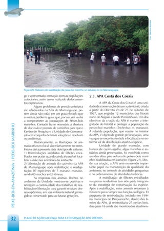 Foto: Maurício Andrade
                                            Figura 26: Cativeiro de reabilitação de peixe-boi marinho no estuário do rio Mamanguape.

                                            go e apresentado interação com as populações                2.3. APA Costa dos Corais
                                            autóctones, assim como realizado deslocamen-
                                            tos expressivos.                                                    A APA da Costa dos Corais é uma uni-
                                                     Alguns problemas de pressão antrópica              dade de conservação de uso sustentável, criada
                                            são observados na APA de Mamanguape, po-                    a partir do Decreto s/n de 23 de outubro de
                                            rém ainda não estão em um grau elevado que                  1997, que engloba 12 municípios dos litorais
                                            constitua problema grave que, por sua vez venha             norte de Alagoas e sul de Pernambuco. Um dos
                                            a comprometer as populações de Peixes-bois                  objetivos da criação da APA é manter a inte-
                                            marinhos. Contudo faz-se necessária a abertura              gridade do hábitat e proteger a população de
PEIXE-BOI-DA-AMAZÔNIA / PEIXE-BOI MARINHO




                                            de discussão e procura de caminhos para que o               peixes-boi marinhos (Trichechus m. manatus).
                                            Centro de Pesquisa e a Unidade de Conserva-                 A referida população, que ocorre no interior
                                            ção em conjunto definam soluções e resolvam                 da APA, é objeto de grande preocupação, uma
                                            os problemas.                                               vez que se encontra isolada e localizada no ex-
                                                     Historicamente, as libertações de ani-             tremo sul da distribuição atual da espécie.
                                            mais cativos no local são relativamente recentes.                   Unidade de grande extensão, com
                                            Houve até a presente data dois tipos de solturas:           bancos de capim-agulha, algas marinhas e es-
                                            1) Reintroduções imediatas de filhotes enca-                tuários ainda preservados, foi escolhida como
                                            lhados em praias quando ainda é possível loca-              um dos sítios para soltura de peixes-bois mari-
                                            lizar a mãe nos arredores do ambiente.                      nhos reabilitados em cativeiro (Figura 27). Des-
                                            2) Libertação de animais do cativeiro da APA                de sua criação, a APA vem exercendo impor-
                                            de Mamanguape após reabilitação e readap-                   tante papel na manutenção da qualidade do
                                            tação: 07 espécimes de T. manatus manatus,                  ambiente, no controle de atividades pesqueiras
                                            sendo 05 machos e 02 fêmeas.                                e no ordenamento de atividades turísticas.
                                                     As respostas dos animais libertos no                       A reabilitação de filhotes encalhados
                                            ambiente da Unidade mostram-se positivas e                  nas praias nordestinas tem sido parte integran-
                                            reforçam a continuidade dos trabalhos de rea-               te da estratégia de conservação da espécie.
                                            bilitação e libertação para garantir o futuro des-          Após a reabilitação, estes animais retornam à
                                            ses espécimes, em seu ambiente natural, prote-              natureza para cumprir sua função ecológica. O
                                            gido e conservado para as futuras gerações.                 programa de reintrodução, iniciado em 1994
                                                                                                        no município de Paripueira/AL, dentro dos li-
                                                                                                        mites da APA, já reintroduziu 27 peixes-bois,
                                                                                                        dos quais 16 ainda são monitorados atualmen-



 32                                         PLANO DE AÇÃO NACIONAL PARA A CONSERVAÇÃO DOS SIRÊNIOS
 