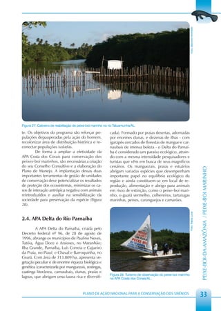 Foto: Maurício Andrade
Figura 27: Cativeiro de reabilitação de peixe-boi marinho no rio Tatuamunha/AL.

te. Os objetivos do programa são reforçar po-                cada). Formado por praias desertas, adornadas
pulações depauperadas pela ação do homem,                    por enormes dunas, e dezenas de ilhas - com
recolonizar área de distribuição histórica e re-             igarapés cercados de florestas de mangue e car-
conectar populações isoladas.                                naubais de imensa beleza - o Delta do Parnaí-
         De forma a ampliar a efetividade da                 ba é considerado um paraíso ecológico, atrain-
APA Costa dos Corais para conservação dos                    do com a mesma intensidade pesquisadores e
peixes-boi marinhos, são necessárias a criação               turistas que vêm em busca de seus magníficos
do seu Conselho Consultivo e a elaboração do                 cenários. Os manguezais, praias e estuários




                                                                                                                                              PEIXE-BOI-DA-AMAZÔNIA / PEIXE-BOI MARINHO
Plano de Manejo. A implantação dessas duas                   abrigam variadas espécies que desempenham
importantes ferramentas de gestão de unidades                importante papel no equilíbrio ecológico da
de conservação deve potencializar os resultados              região e ainda constituem-se em local de re-
de proteção dos ecossistemas, minimizar os ca-               produção, alimentação e abrigo para animais
sos de interação antrópica negativa com animais              em risco de extinção, como o peixe-boi mari-
reintroduzidos e auxiliar na sensibilização da               nho, o guará vermelho, colhereiros, tartarugas
sociedade para preservação da espécie (Figura                marinhas, peixes, caranguejos e camarões.
28).
                                                                                                                     Foto: Fábia Luna




2.4. APA Delta do Rio Parnaíba
        A APA Delta do Parnaíba, criada pelo
Decreto Federal nº 96, de 28 de agosto de
1996, abrange os municípios de Paulino Neves,
Tutóia, Água Doce e Araioses, no Maranhão;
Ilha Grande, Parnaíba, Luís Correia e Cajueiro
da Praia, no Piauí; e Chaval e Barroquinha, no
Ceará. Com área de 313.809 ha, apresenta ve-
getação peculiar e de enorme riqueza biológica e
genética (caracterizada por manguezais, restingas,
caatinga litorânea, carnaubais, dunas, praias e
                                                             Figura 28: Turismo de observação do peixe-boi marinho
lagoas, que abrigam uma fauna rica e diversifi-              na APA Costa dos Corais/AL .



                                          PLANO DE AÇÃO NACIONAL PARA A CONSERVAÇÃO DOS SIRÊNIOS
                                                                                                                                              33
 