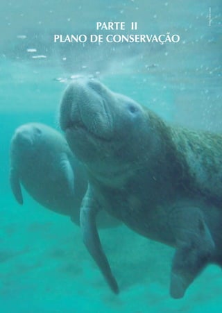 Foto: Fábia Luna
       PARTE II
PLANO DE CONSERVAÇÃO
 