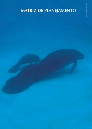 MATRIZ DE PLANEJAMENTO




Foto: Luciana Carvalho Crema
 