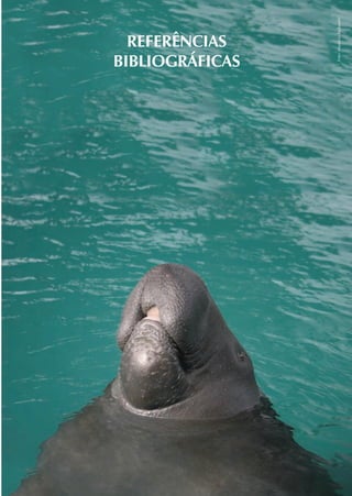 Foto: Maurício Andarade
  REFERÊNCIAS
BIBLIOGRÁFICAS
 