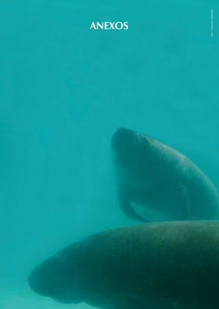 ANEXOS




Foto: Maurício Andarade
 