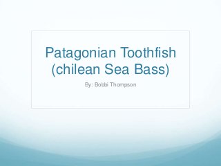 Patagonian Toothfish
 (chilean Sea Bass)
      By: Bobbi Thompson
 