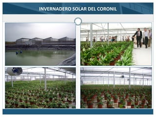 INVERNADERO SOLAR DEL CORONIL
 