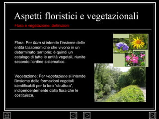 Aspetti floristici e vegetazionali Flora: Per  flora  si intende l’insieme delle entità tassonomiche che vivono in un determinato territorio; è quindi un catalogo di tutte le entità vegetali, riunite secondo l’ordine sistematico. Vegetazione: Per  vegetazione  si intende l’insieme delle formazioni vegetali identificabili per la loro “struttura”, indipendentemente dalla flora che le costituisce. Flora e vegetazione: definizioni 
