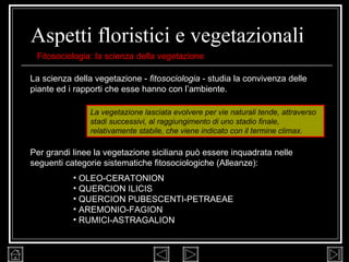 Aspetti floristici e vegetazionali La scienza della vegetazione -  fitosociologia  - studia la convivenza delle piante ed i rapporti che esse hanno con l’ambiente.  Per grandi linee la vegetazione siciliana può essere inquadrata nelle seguenti categorie sistematiche fitosociologiche (Alleanze): OLEO-CERATONION QUERCION ILICIS QUERCION PUBESCENTI-PETRAEAE AREMONIO-FAGION RUMICI-ASTRAGALION Fitosociologia: la scienza della vegetazione La vegetazione lasciata evolvere per vie naturali tende, attraverso stadi successivi, al raggiungimento di uno stadio finale, relativamente stabile, che viene indicato con il termine climax. 