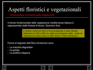 Aspetti floristici e vegetazionali In Sicilia il  Quercion ilicis  si trova localizzato in aree ristrette (altitutdine tra 300 e 800 m); nelle zone litoranee caldo - aride, la vegetazione evolve verso un altro climax: l’ Oleo-Ceratonion . Fitosociologia: la scienza della vegetazione Il climax fondamentale della vegetazione mediterranea italiana è rappresentato dalla foresta di leccio:  Quercion ilicis . Forme di degrado dell’ Oleo-Ceratonion  sono: -  La macchia degradata  -  La gariga  -  La prateria steppica 