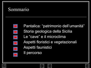 Pantalica: “patrimonio dell’umanità” Storia geologica della Sicilia Le “cave” e il microclima Aspetti floristici e vegetazionali Aspetti faunistici Il percorso Sommario 