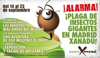 Plaga de Insectos Gigantes en Madrid Xanadú