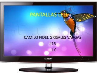 PANTALLAS LED CAMILO FIDEL GRISALES VARGAS #15 11 C 