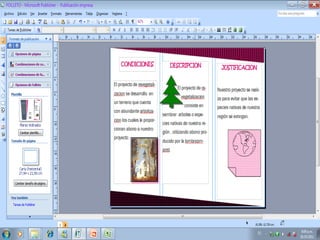 Pantallasos velasquito