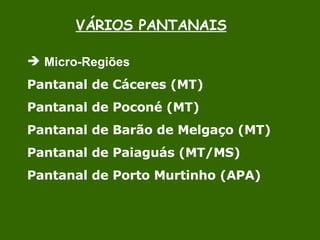 VÁRIOS PANTANAIS Micro-Regiões  Pantanal de Cáceres (MT) Pantanal de Poconé (MT) Pantanal de Barão de Melgaço (MT) Pantanal de Paiaguás (MT/MS) Pantanal de Porto Murtinho (APA) 