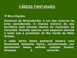 VÁRIOS PANTANAIS Micro-Regiões  Pantanal da Nhecolândia: é um dos maiores da área considerada. A imensa maioria de seu território está situada dentro do município de Corumbá, ficando apenas uma pequena parcela a leste sob a jurisdição de Rio Verde de Mato Grosso. A vista aérea deste pantanal mostra uma fisionomia bastante típica, caracterizada por apresentar baías, salinas, campos limpos, bosques e savanas.  