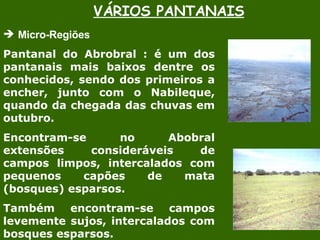 VÁRIOS PANTANAIS Micro-Regiões  Pantanal do Abrobral : é um dos pantanais mais baixos dentre os conhecidos, sendo dos primeiros a encher, junto com o Nabileque, quando da chegada das chuvas em outubro. Encontram-se no Abobral extensões consideráveis de campos limpos, intercalados com pequenos capões de mata (bosques) esparsos. Também encontram-se campos levemente sujos, intercalados com bosques esparsos. 