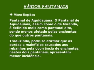 VÁRIOS PANTANAIS Micro-Regiões  Pantanal de Aquidauana: O Pantanal de Aquidauana, assim como o de Miranda, é definido mais como pantanal alto, sendo menos afetado pelas enchentes do que outros pantanais. Traduzindo, pode-se afirmar que as perdas e malefícios causados aos rebanhos pela ocorrência de enchentes, nestes dois pantanais, apresentam menor incidência. 