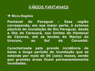 VÁRIOS PANTANAIS Micro-Regiões  Pantanal do Paraguai : Essa região corresponde, em sua maior parte, à extensa planície de inundação do Rio Paraguai, desde a ilha do Caracará, nos limites do Pantanal de Cáceres, até as bordas do Maciço do Urucum, ao Sul de Corumbá. Caracterizada pela grande incidência de baías e longo período de inundação que se estende por mais de 06 (seis) meses, sendo que grandes áreas ficam permanentemente inundadas.  