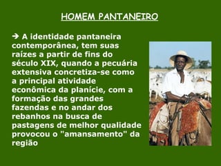 HOMEM PANTANEIRO A identidade pantaneira contemporânea, tem suas raízes a partir de fins do século XIX, quando a pecuária extensiva concretiza-se como a principal atividade econômica da planície, com a formação das grandes fazendas e no andar dos rebanhos na busca de pastagens de melhor qualidade provocou o "amansamento" da região  