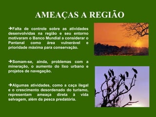 Falta de controle sobre as atividades desenvolvidas na região e seu entorno motivaram o Banco Mundial a considerar o Pantanal como área vulnerável e prioridade máxima para conservação.  Somam-se, ainda, problemas com a mineração, o aumento do lixo urbano e projetos de navegação.  Algumas atividades, como a caça ilegal e o crescimento desordenado do turismo, representam ameaça direta à vida selvagem, além da pesca predatória. AMEAÇAS A REGIÃO 