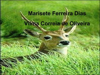 Marisete Ferreira Dias Vilma Correia de Oliveira 