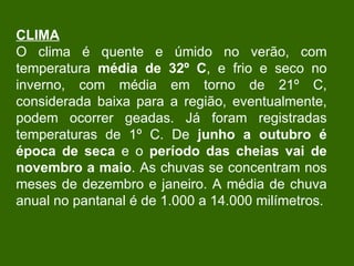 CLIMA O clima é quente e úmido no verão, com temperatura  média de 32º C , e frio e seco no inverno, com média em torno de 21º C, considerada baixa para a região, eventualmente, podem ocorrer geadas. Já foram registradas temperaturas de 1º C. De  junho a outubro é época de seca  e o  período das cheias vai de novembro a maio . As chuvas se concentram nos meses de dezembro e janeiro. A média de chuva anual no pantanal é de 1.000 a 14.000 milímetros. 