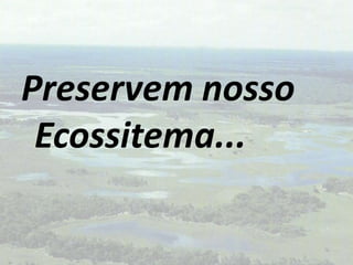 Preservem nosso Ecossitema...