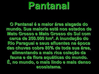 PantanalO Pantanal é a maioráreaalagada do mundo. Suamaioriaestánosestados de MatoGrosso e MatoGrosso do Sul com cerca de 250.000 km². A inundação do Rio Paraguai e seusafluentesnaépoca das chuvascobre 80% de todasuaárea,  alimentando a maisricacoleçãoda fauna e da flora aquáticas do mundo. É, no mundo, o maislindo e maisdensoecosistema.